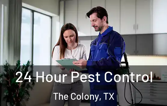  24 Hour Pest Control The Colony, TX