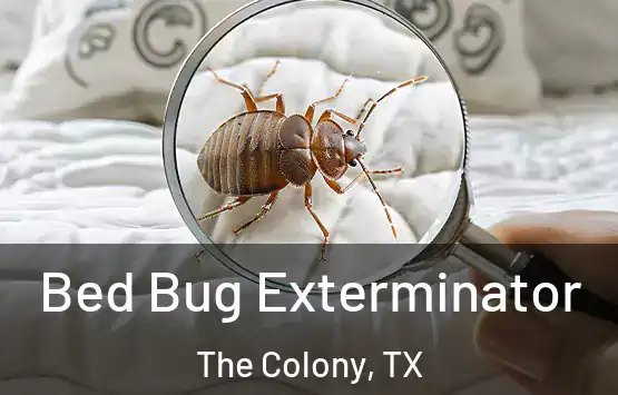  Bed Bug Exterminator The Colony, TX