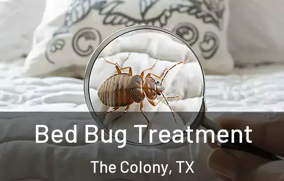  Bed Bug Treatment The Colony, TX