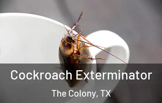  Cockroach Exterminator The Colony, TX