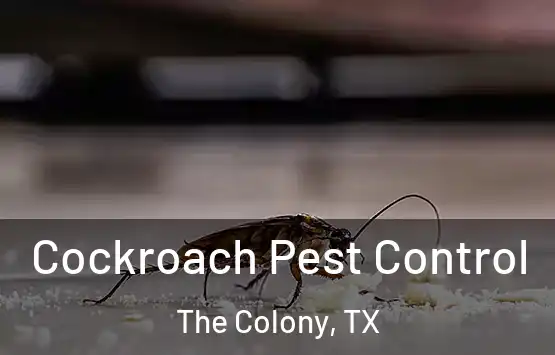  Cockroach Pest Control The Colony, TX
