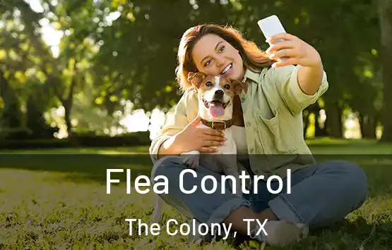  Flea Control The Colony, TX