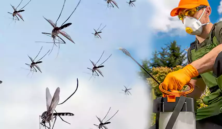 Mosquito Pest Control in The Colony, TX