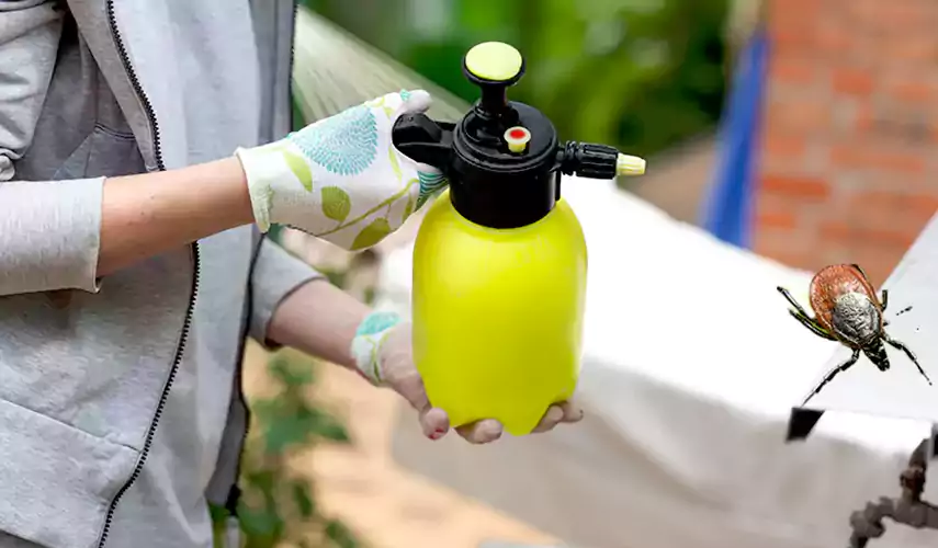 Ticks Pest Control The Colony, Texas