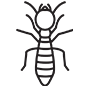 Termites Pest Control The Colony, Texas
