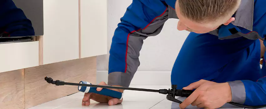 Ant Control for Bedrooms in The Colony, TX