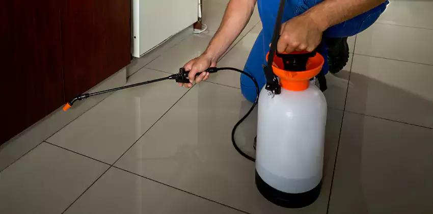 Commercial Pest Extermination for Offices in The Colony, TX