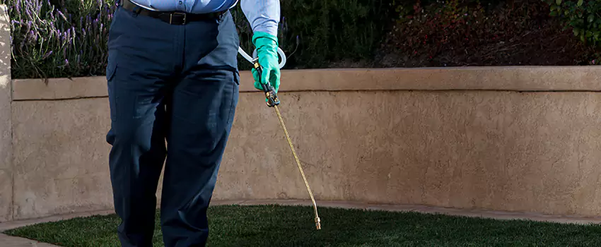 Emergency Pest Extermination for Children and Pets The Colony, TX