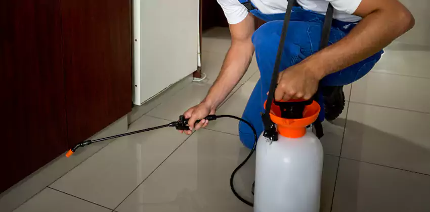 Commercial Flea Exterminator Company in The Colony, TX