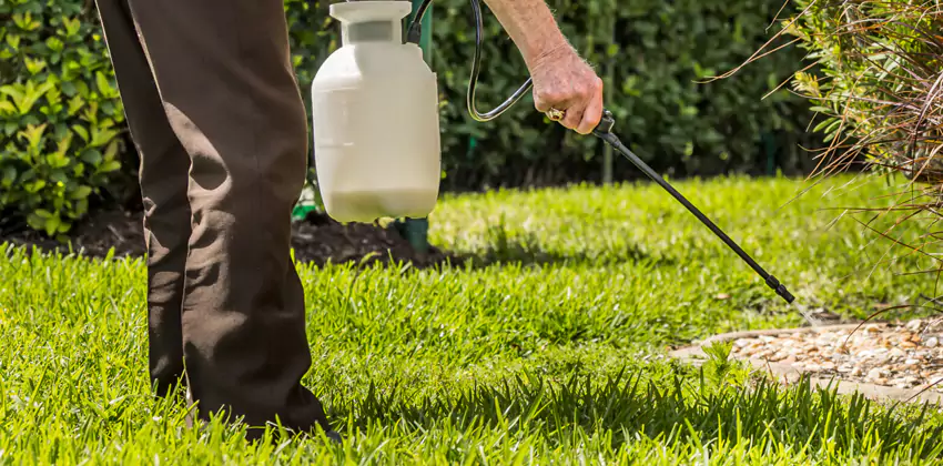 Grub Treatment for Bedrooms The Colony, TX
