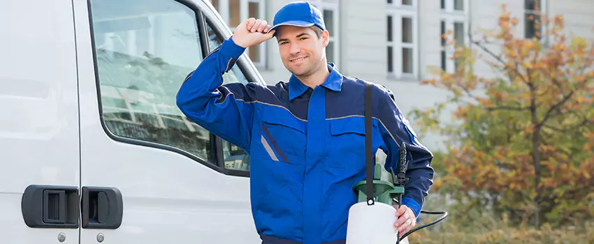 Organic and Chemical Spider Control Options The Colony, TX