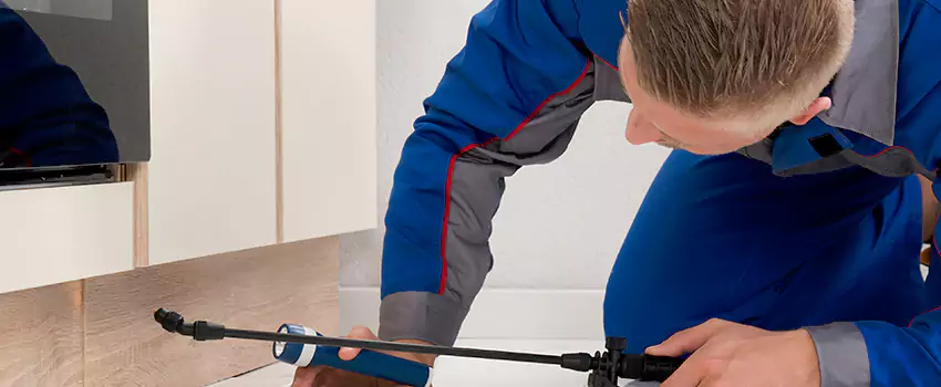 Termite Control for Children and Pets in The Colony, TX