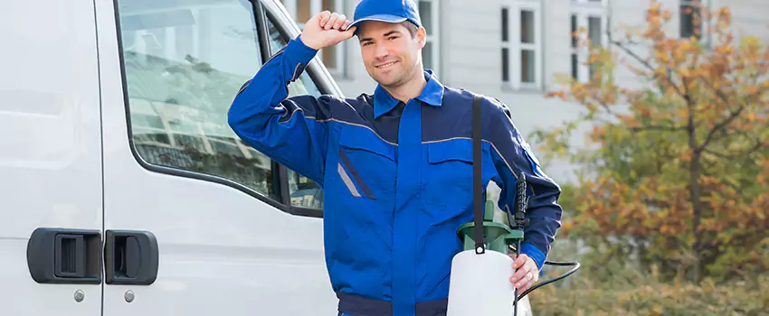 Whitefly Treatment for Bedrooms The Colony, TX