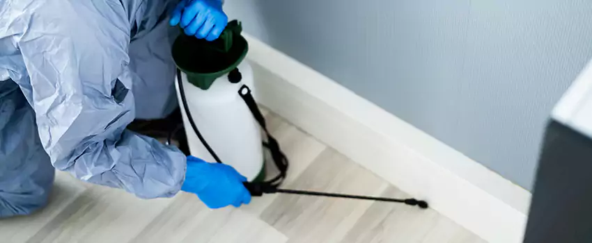 cockroach-exterminator in The Colony, TX