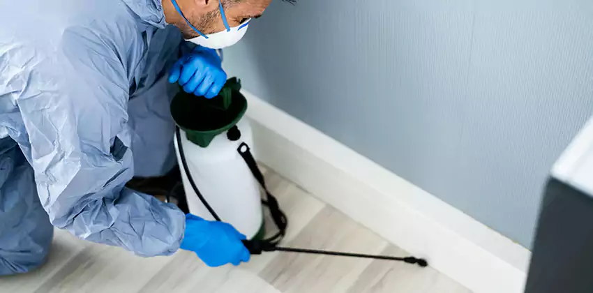 commercial-pest-exterminator in The Colony, TX