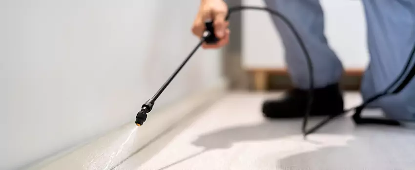 pest-exterminator in The Colony, TX