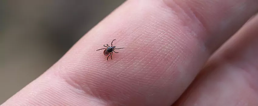 tick-control in The Colony, TX