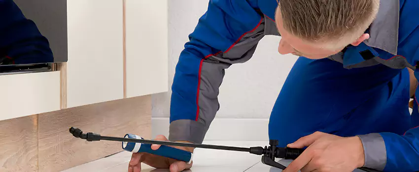 Pest Exterminator Company in The Colony, TX