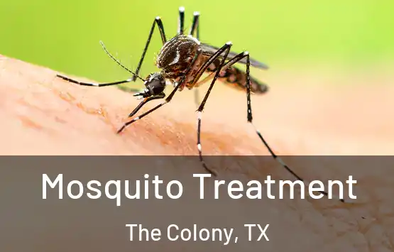  Mosquito Treatment The Colony, TX