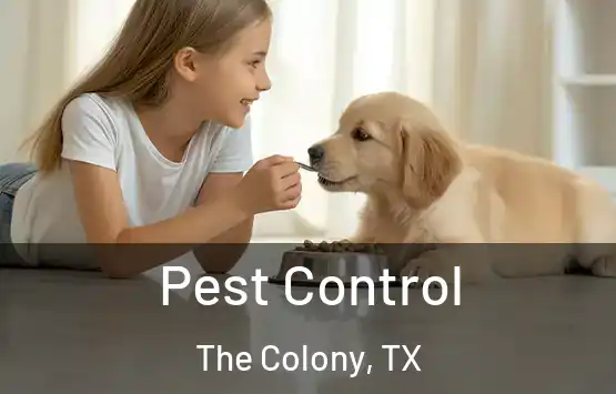  Pest Control The Colony, TX