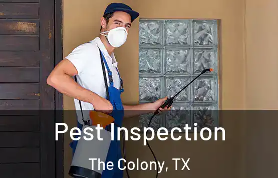  Pest Inspection The Colony, TX