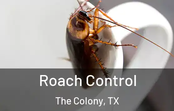  Roach Control The Colony, TX