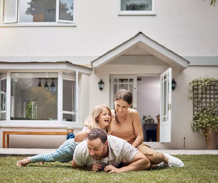 About Ant Control The Colony