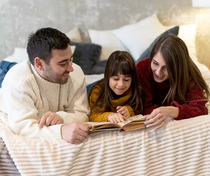 About Bed Bug Pest Control The Colony