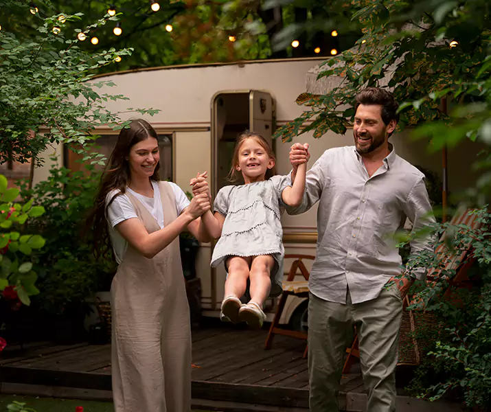 About Flea Treatment The Colony