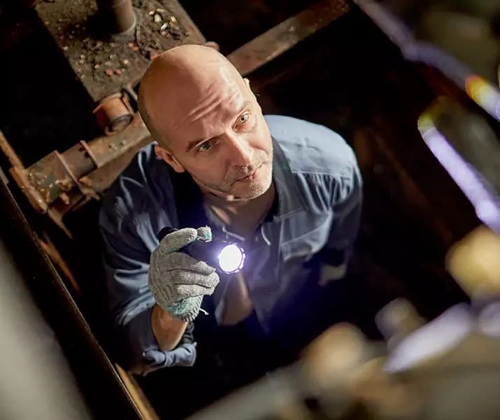 About Pest Inspection The Colony