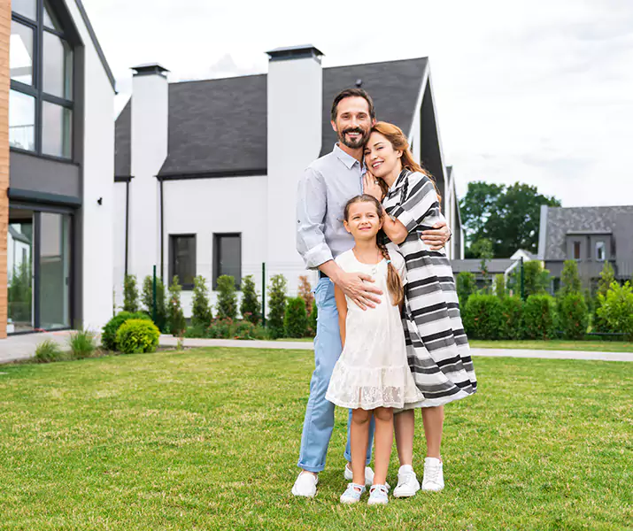 About Wasp Pest Control The Colony