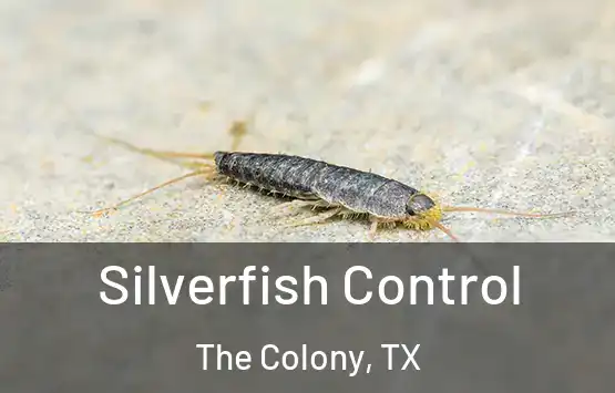  Silverfish Control The Colony, TX