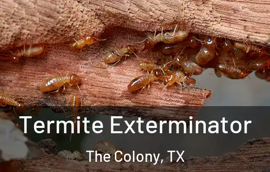  Termite Exterminator The Colony, TX