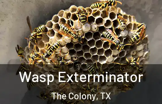  Wasp Exterminator The Colony, TX