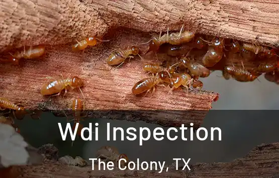  Wdi Inspection The Colony, TX
