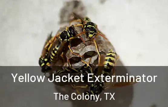  Yellow Jacket Exterminator The Colony, TX